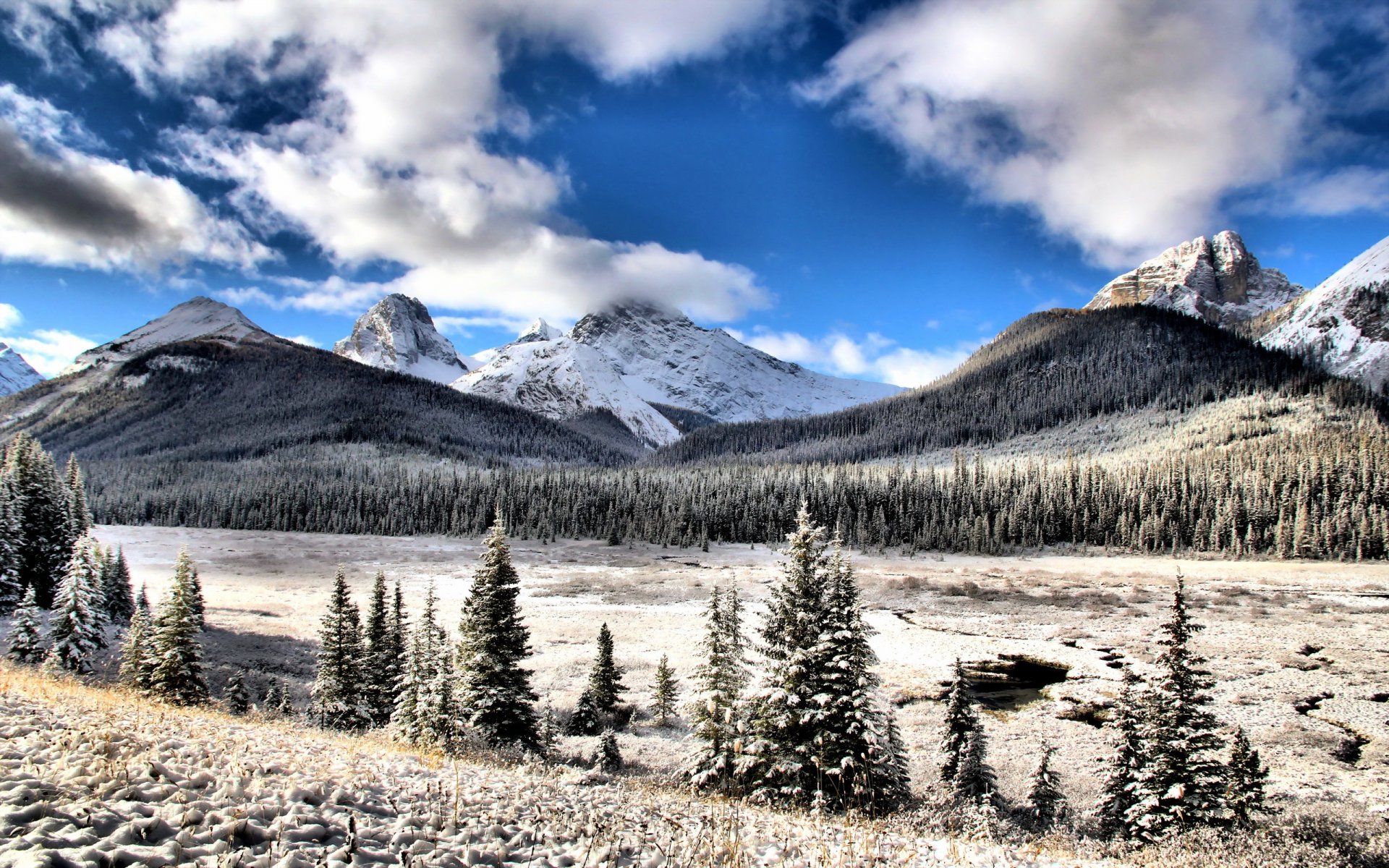 kananaskis alberta montagnes neige paysage