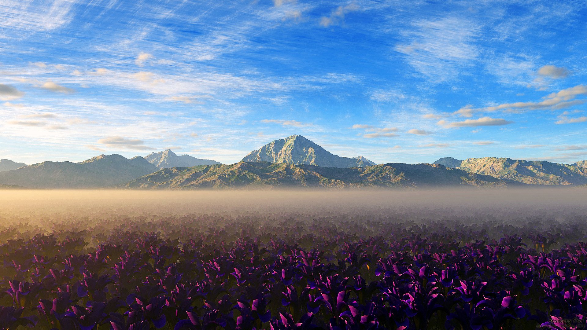 berge feld blumen dunst himmel wolken