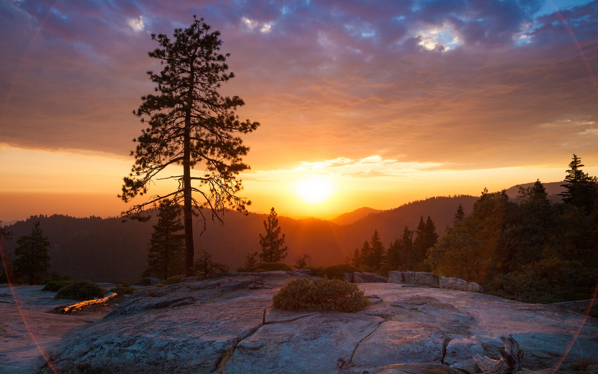 beetle rock sierra nevada mountain sunset tree