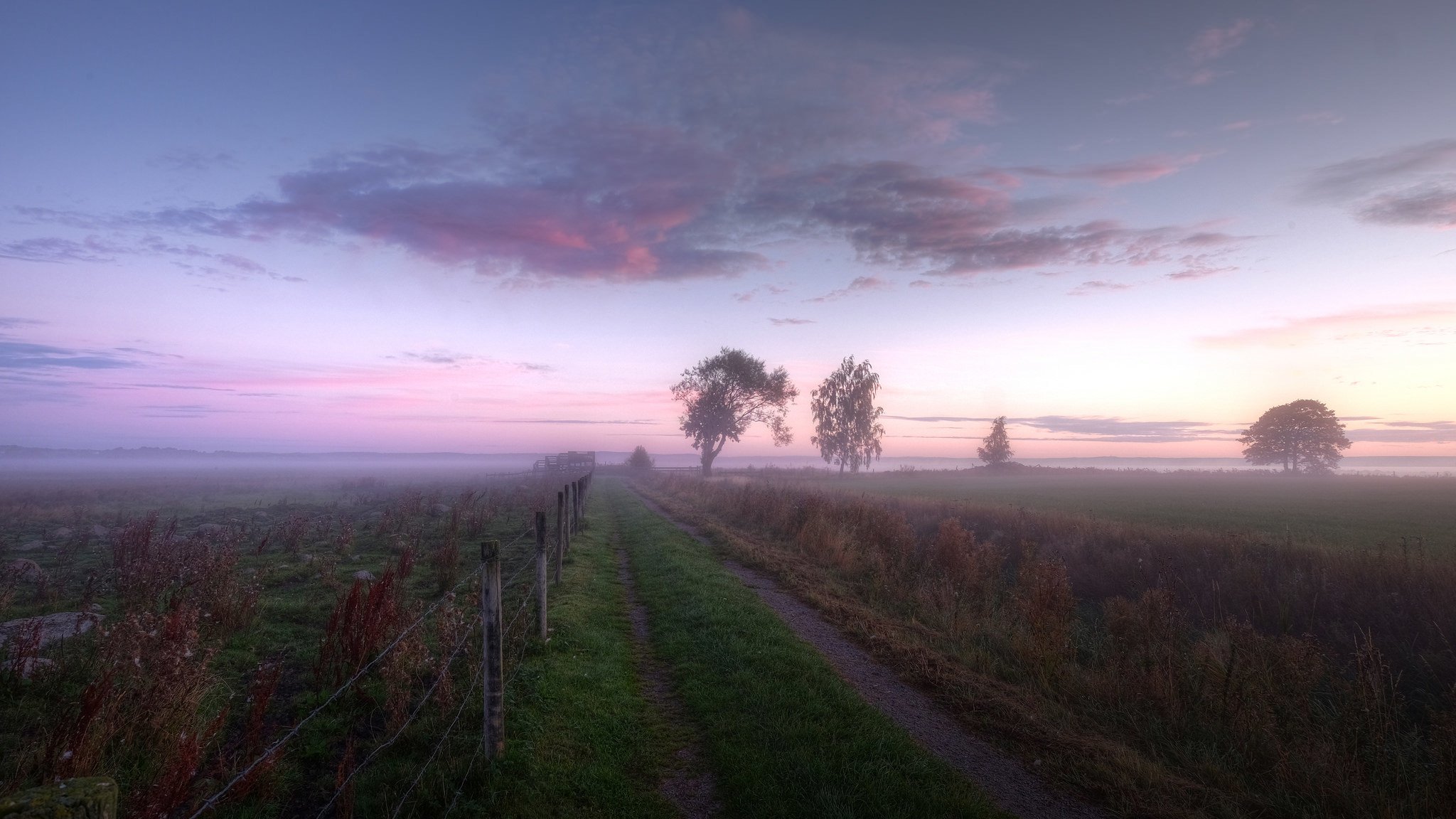 poranek pole płot