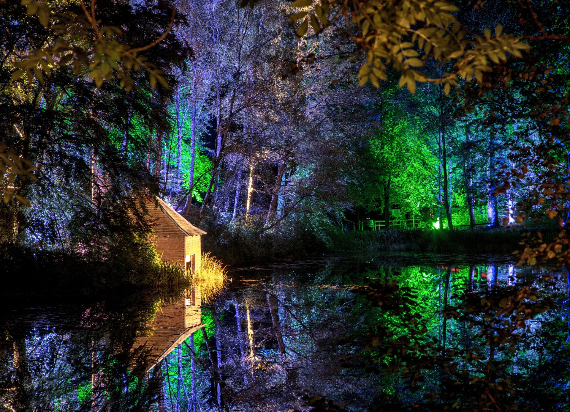 noche parque casa luces árboles