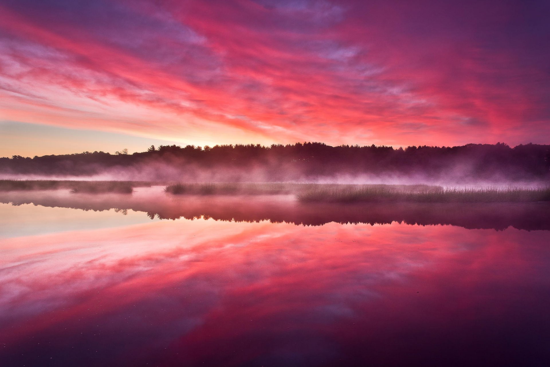 forest dawn lake haze tree