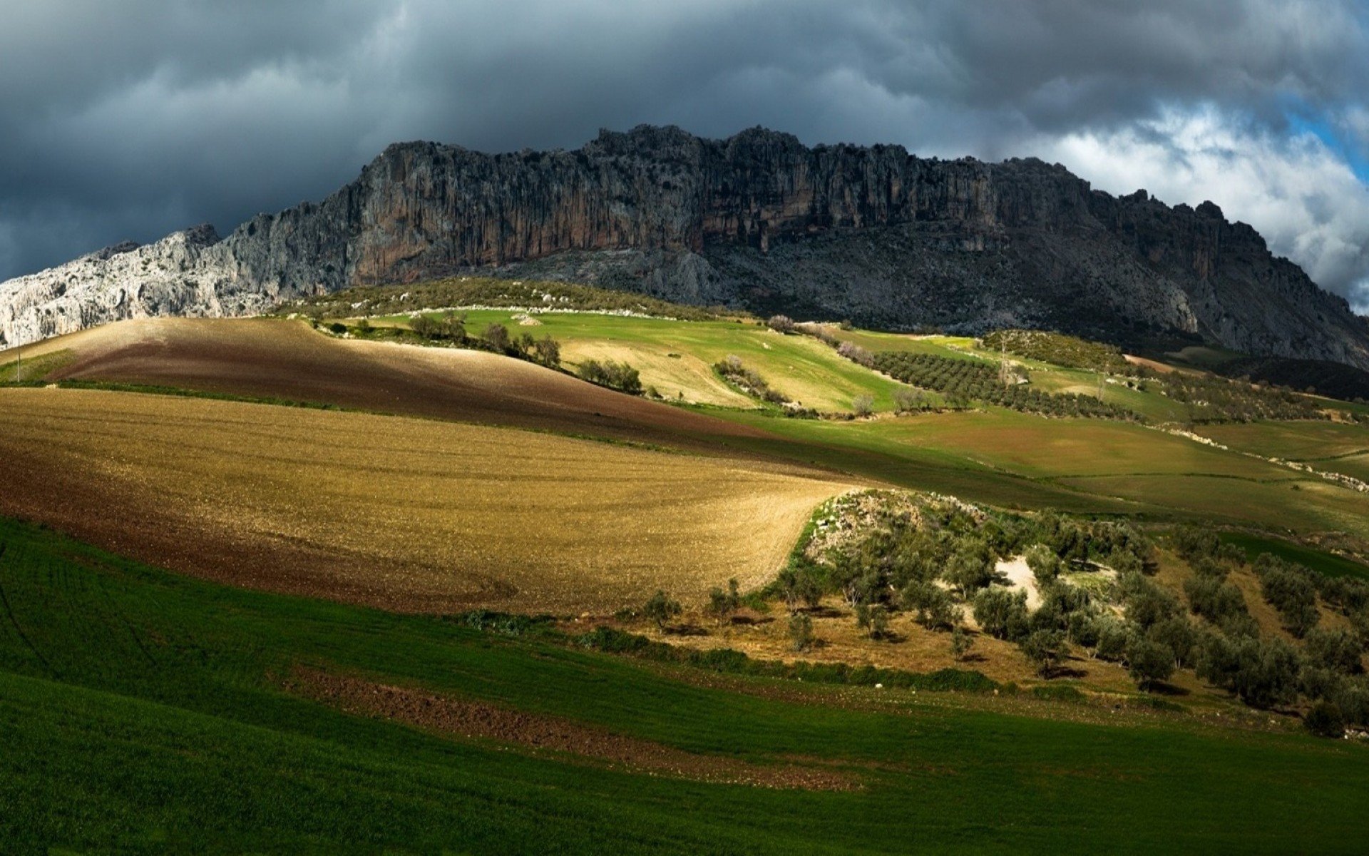 alberi campo valle cielo rocce montagne natura foto