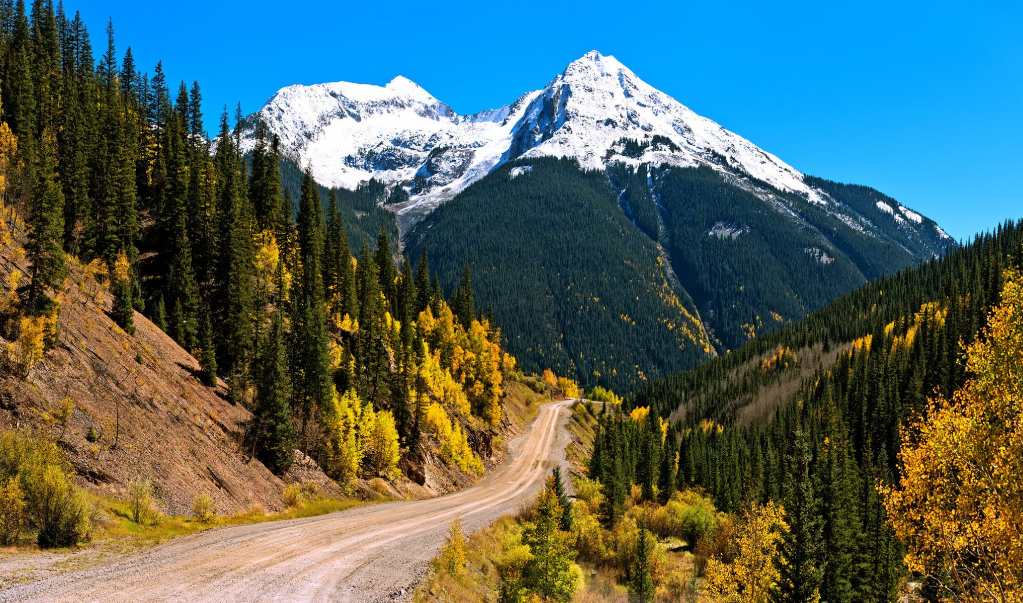 ciel montagnes neige pente forêt automne