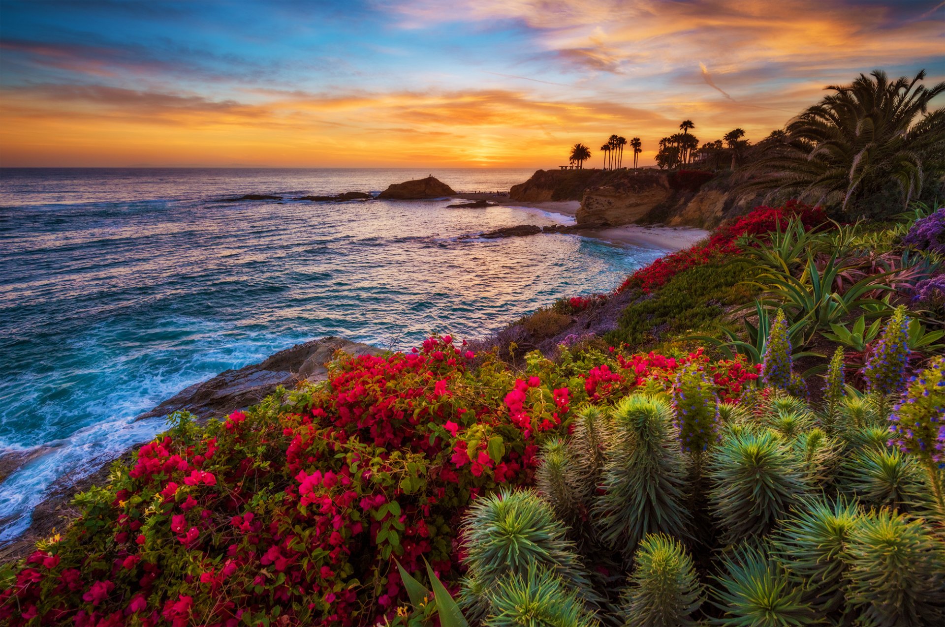 tropen meer küste büsche blumen palmen sonnenuntergang horizont