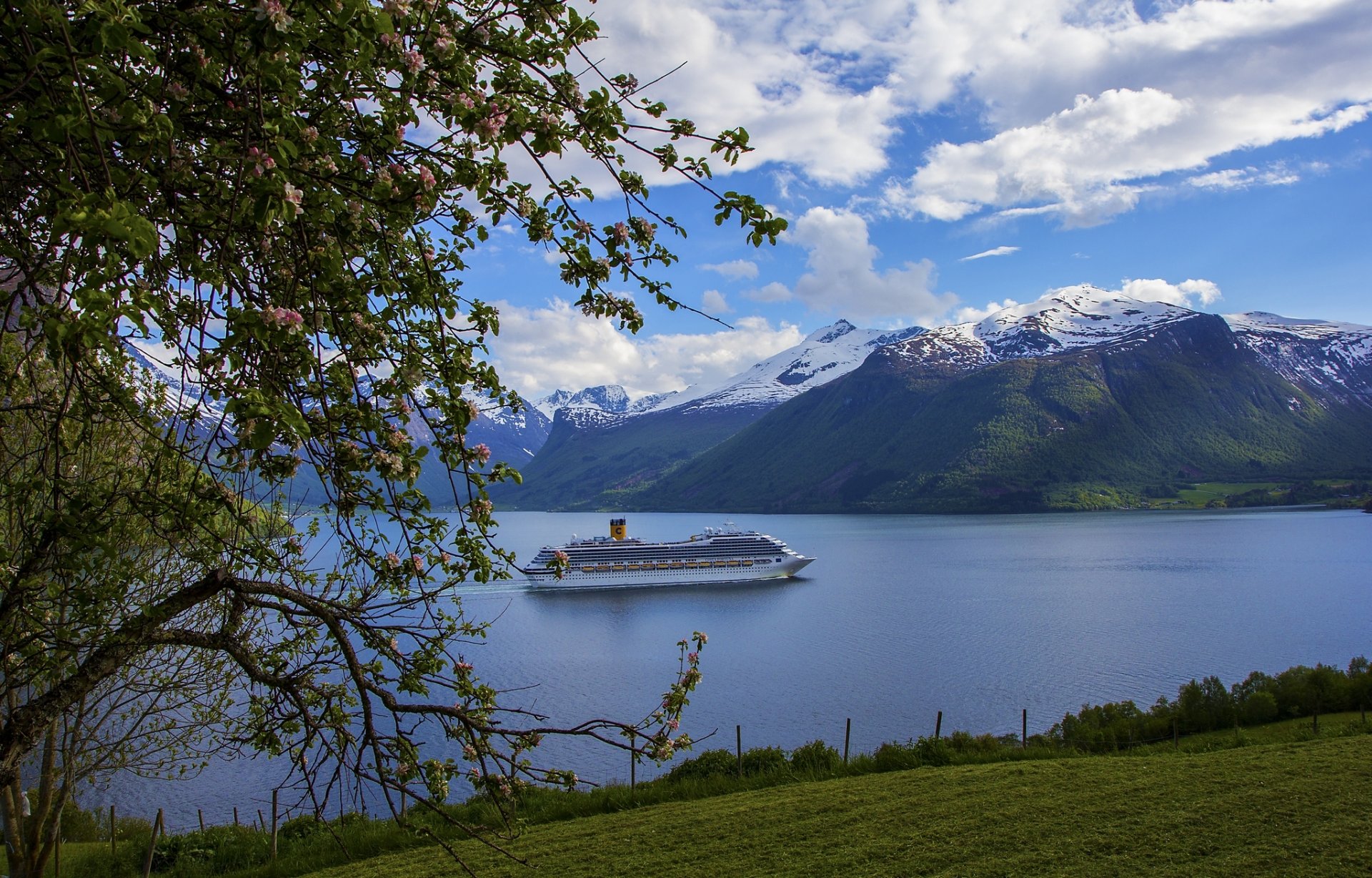 schweden costa fortuna liner fjord berge baum