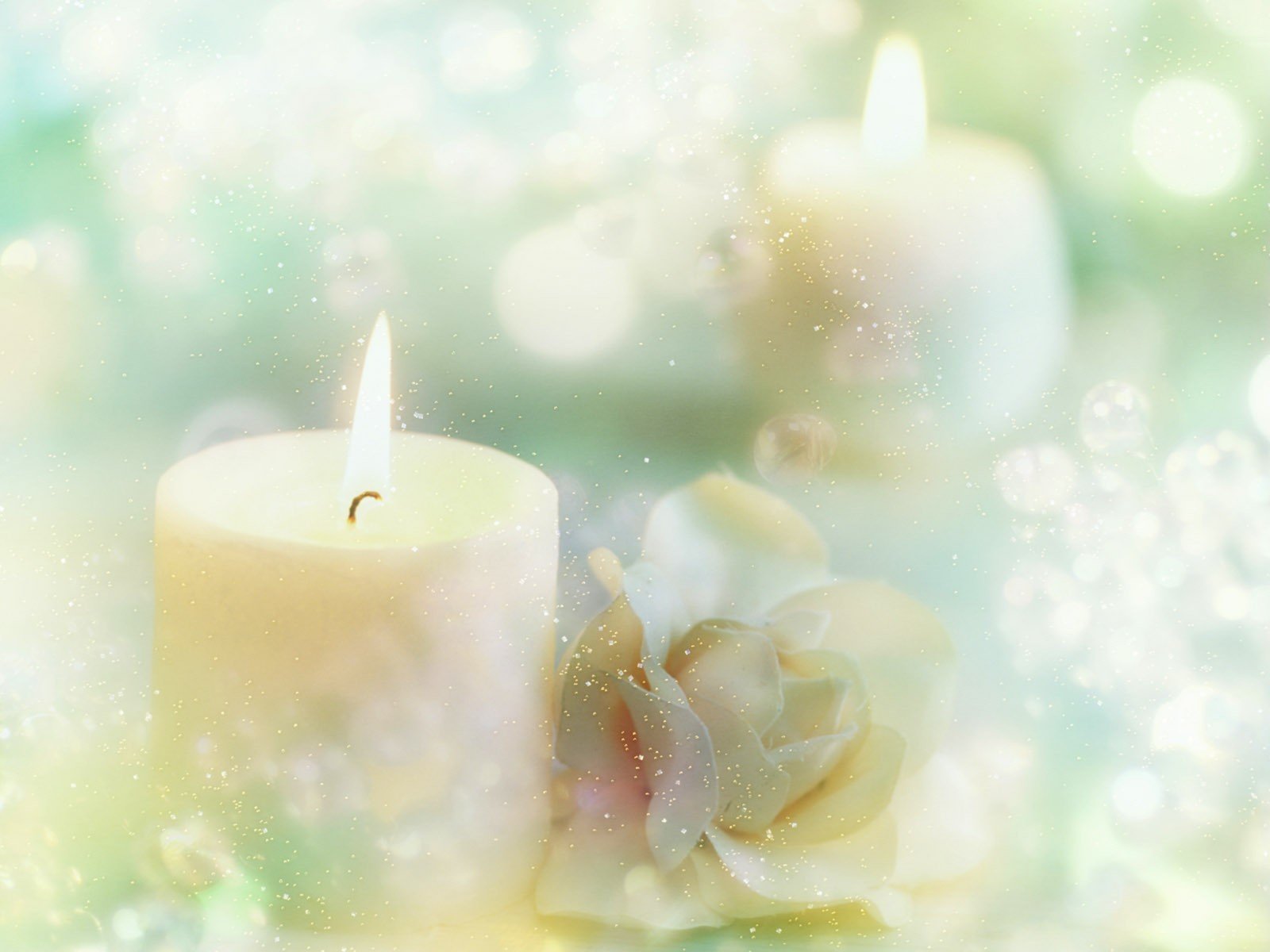 candles snowflakes rose