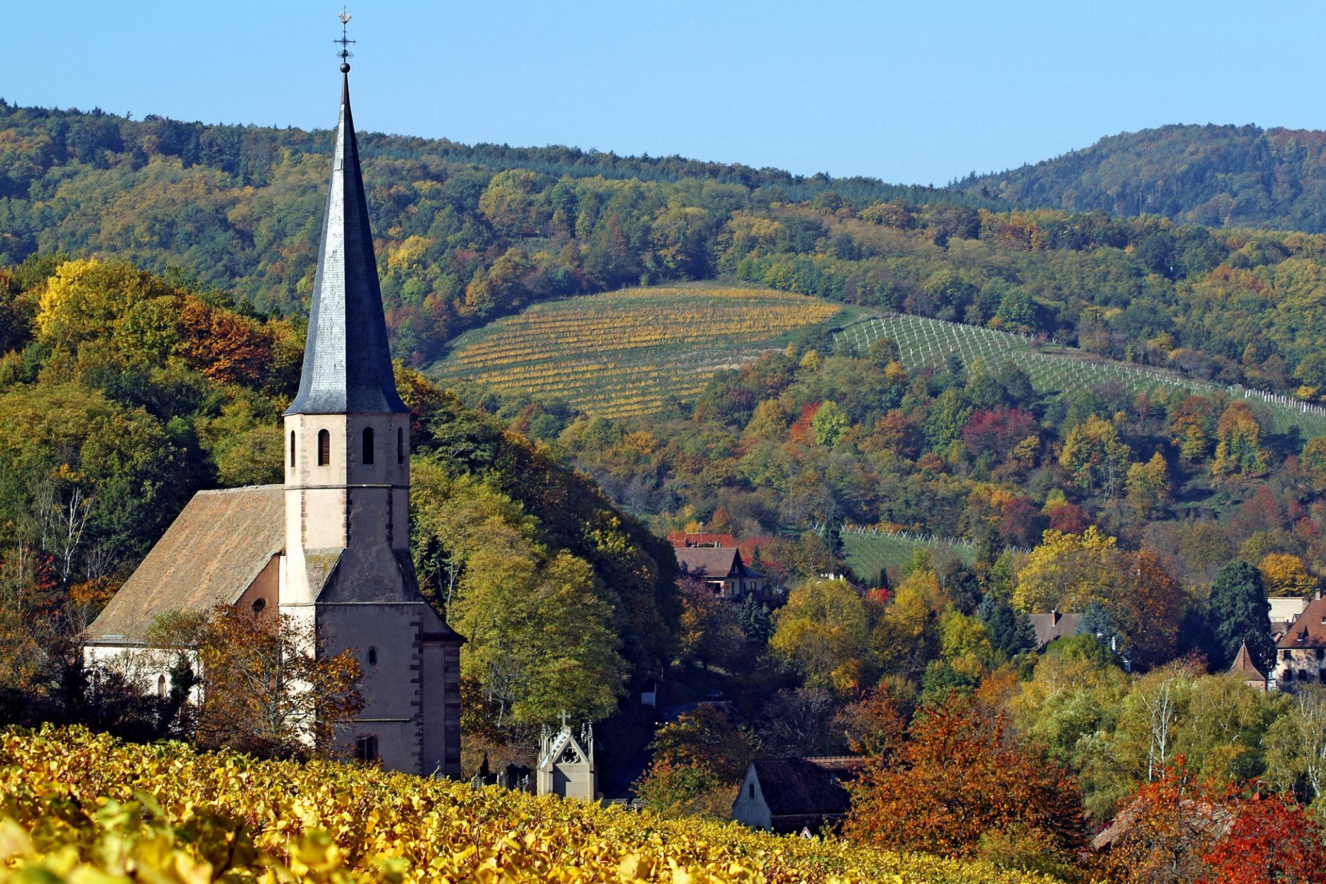 chiesa autunno colline campi alberi cielo foresta orizzonte foglie