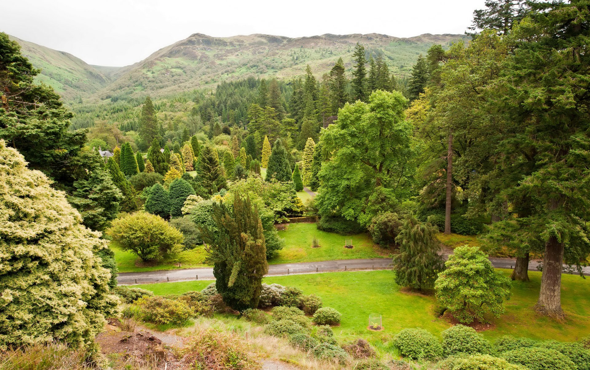 écosse jardins junior benmore jardin botanique argyle montagnes arbres buissons verdure