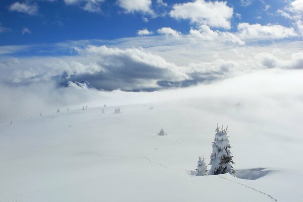 Blick auf die Wolken hoch in den Bergen