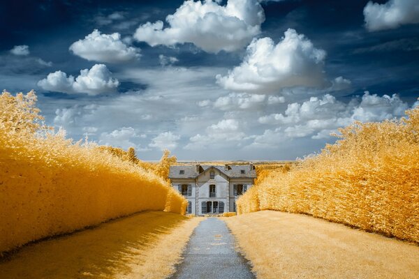 Der Weg zum Haus durch die goldenen Felder