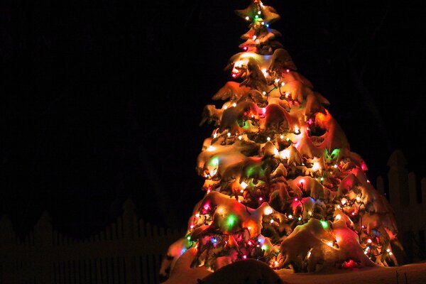 Новогодняя елка украшенная ночными огоньками