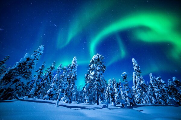 Photo de l éclat de la nature en hiver