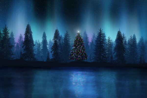 Christmas trees. Night Fairy Tale