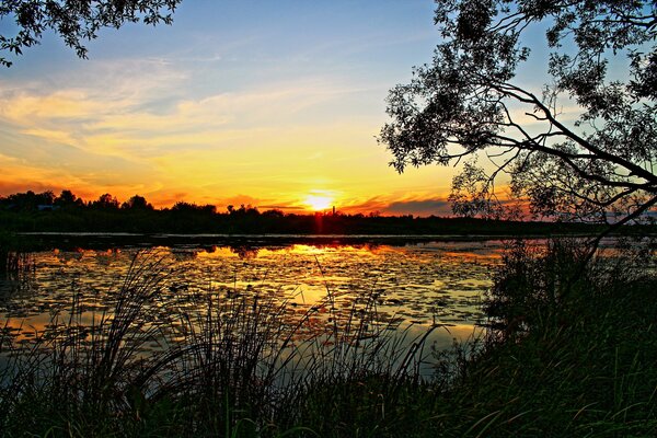 Beautiful evening sunset on the lake