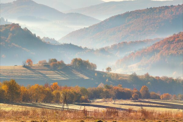 Colline e alberi in nuvoloso e foschia