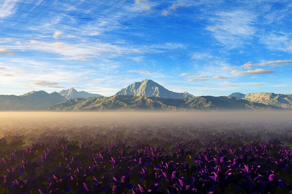 Dunst im Feld über den Blumen