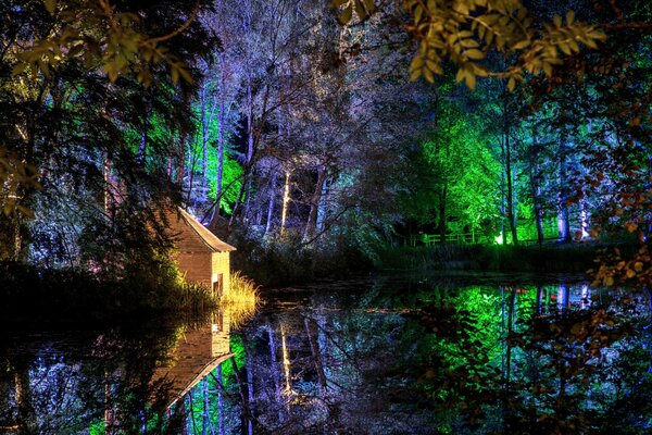 Maison au milieu des lumières du parc de nuit