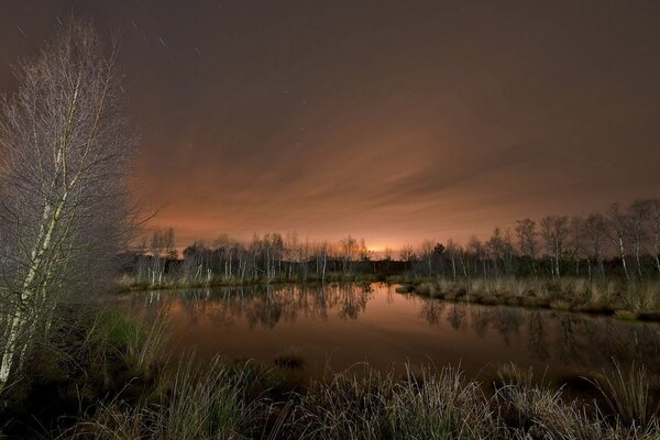 Ночное озеро в березовой роще
