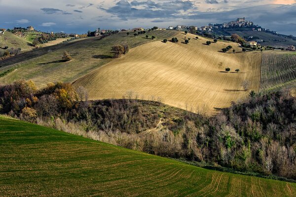 A valley with fields, trees and houses