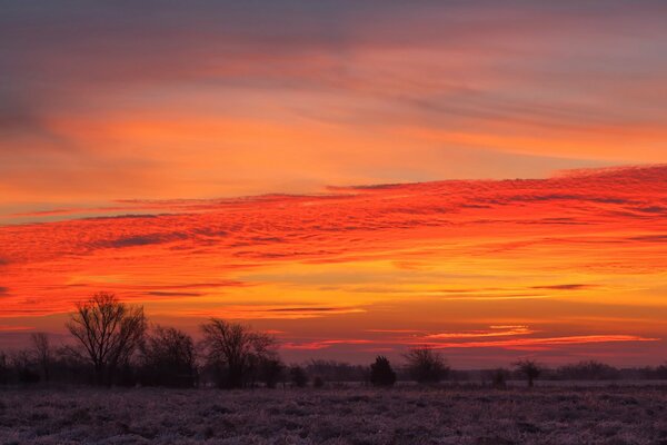 Puesta de sol escarlata sobre un campo desértico