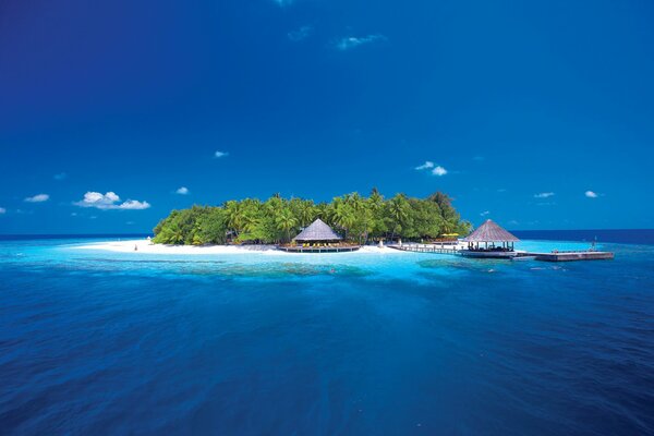 A lonely island in the middle of the sea with palm trees and bungalows