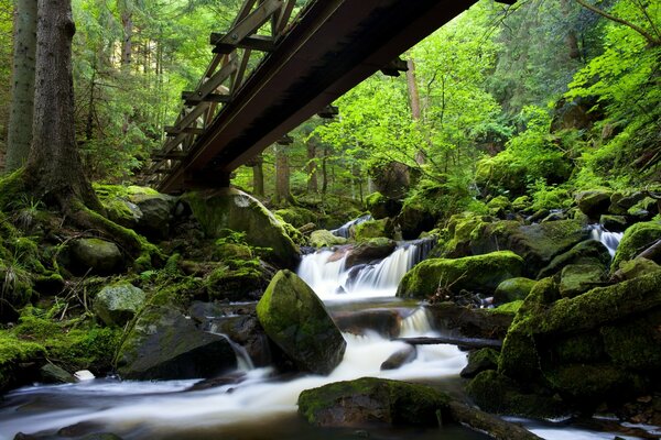 Rocky black forest with a bridge in Germany