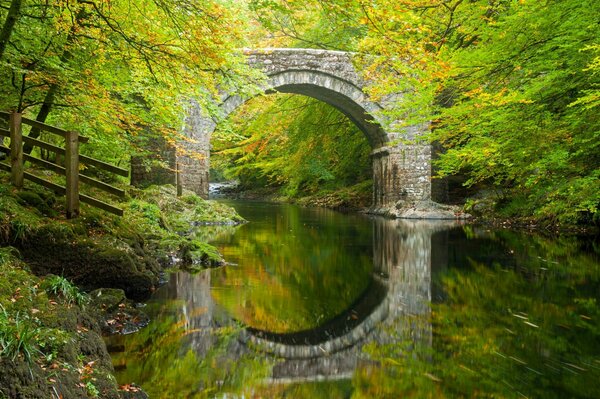 Natur in England. Fluss und Wald