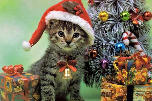 A kitten in a hat and Christmas tree toys