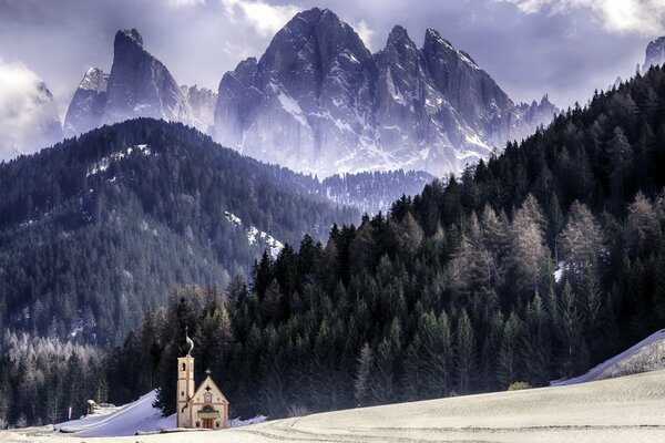 Bosque con pendientes nevadas