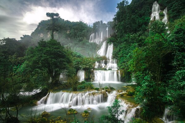 Cascada en Tailandia. Cascada con árboles