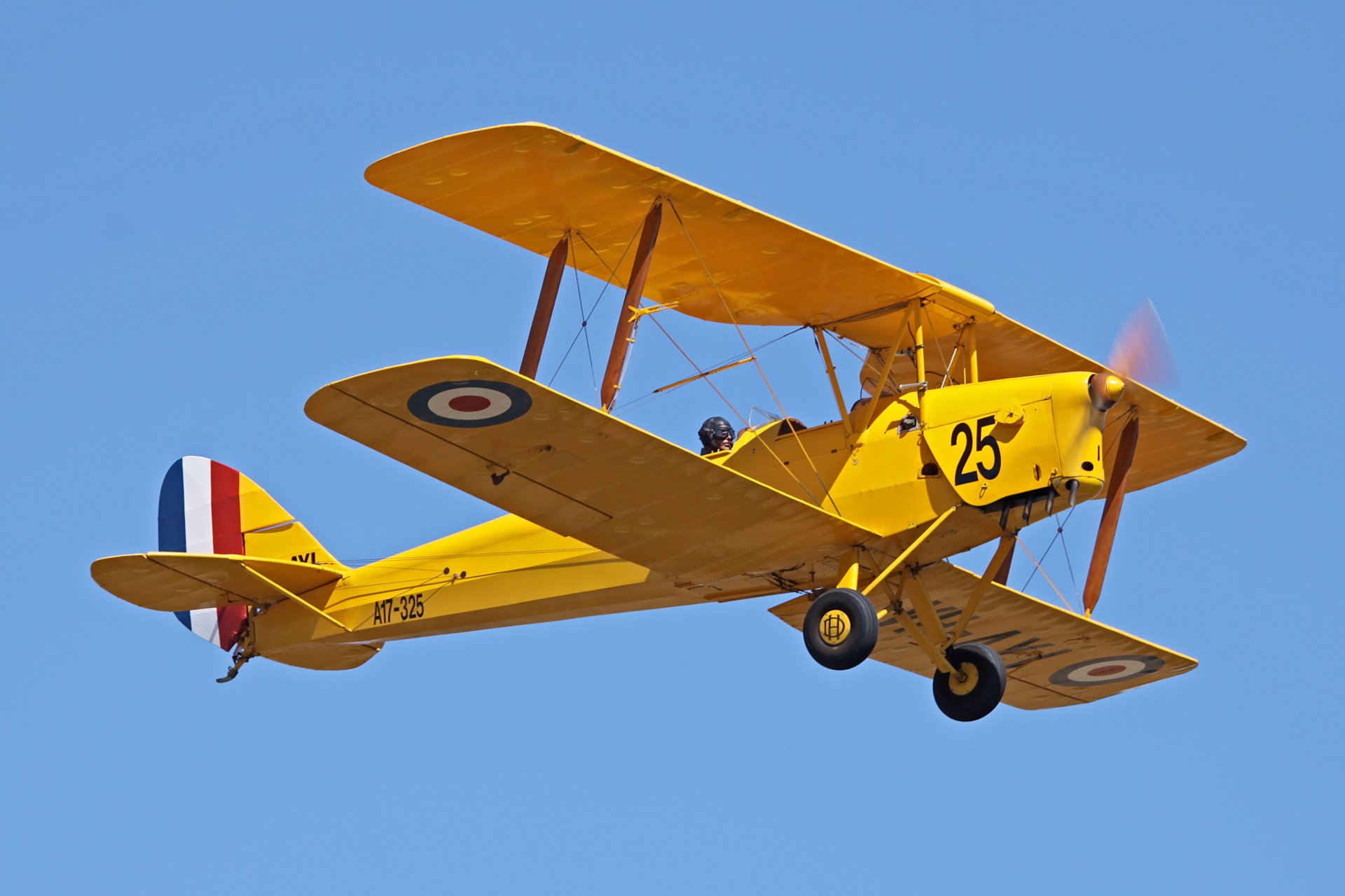 militär historisch verein flugzeug tigerschmetterling tiger mot doppeldecker diente basic training flugzeug royal air force uk entwickler de havilland de havilland 1930-1952 luftschau privat sammlung retro