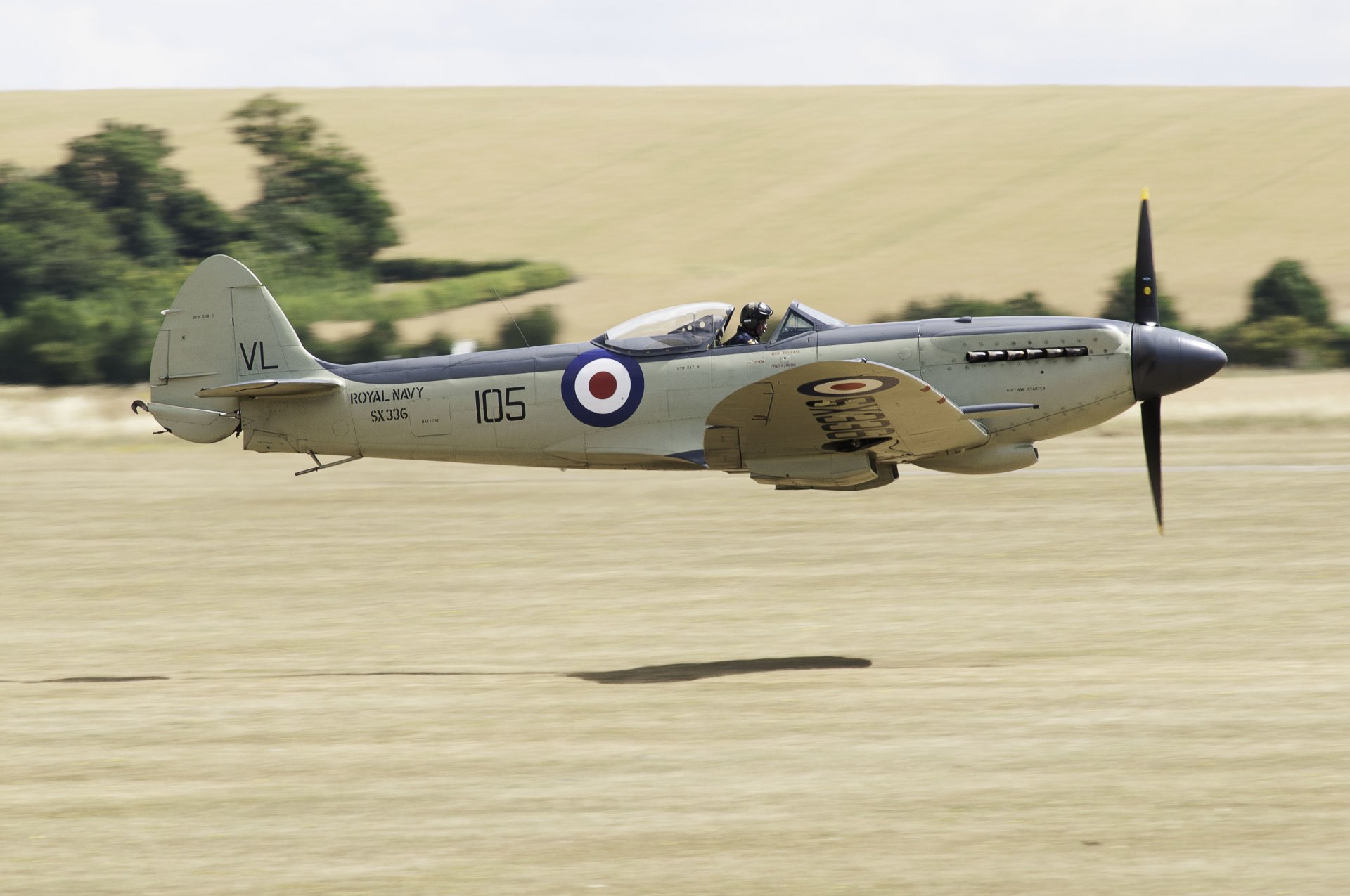 aereo supermarine seafire f. xvii britannico basato su portaerei combattente seconda guerra mondiale