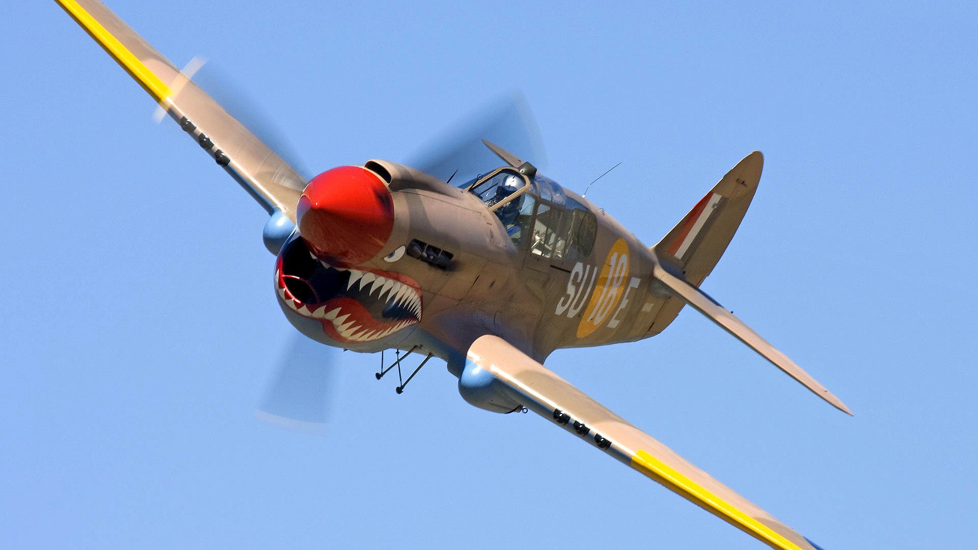 cielo vuelo avión luchador hélice color tiburón boca dientes aerógrafo