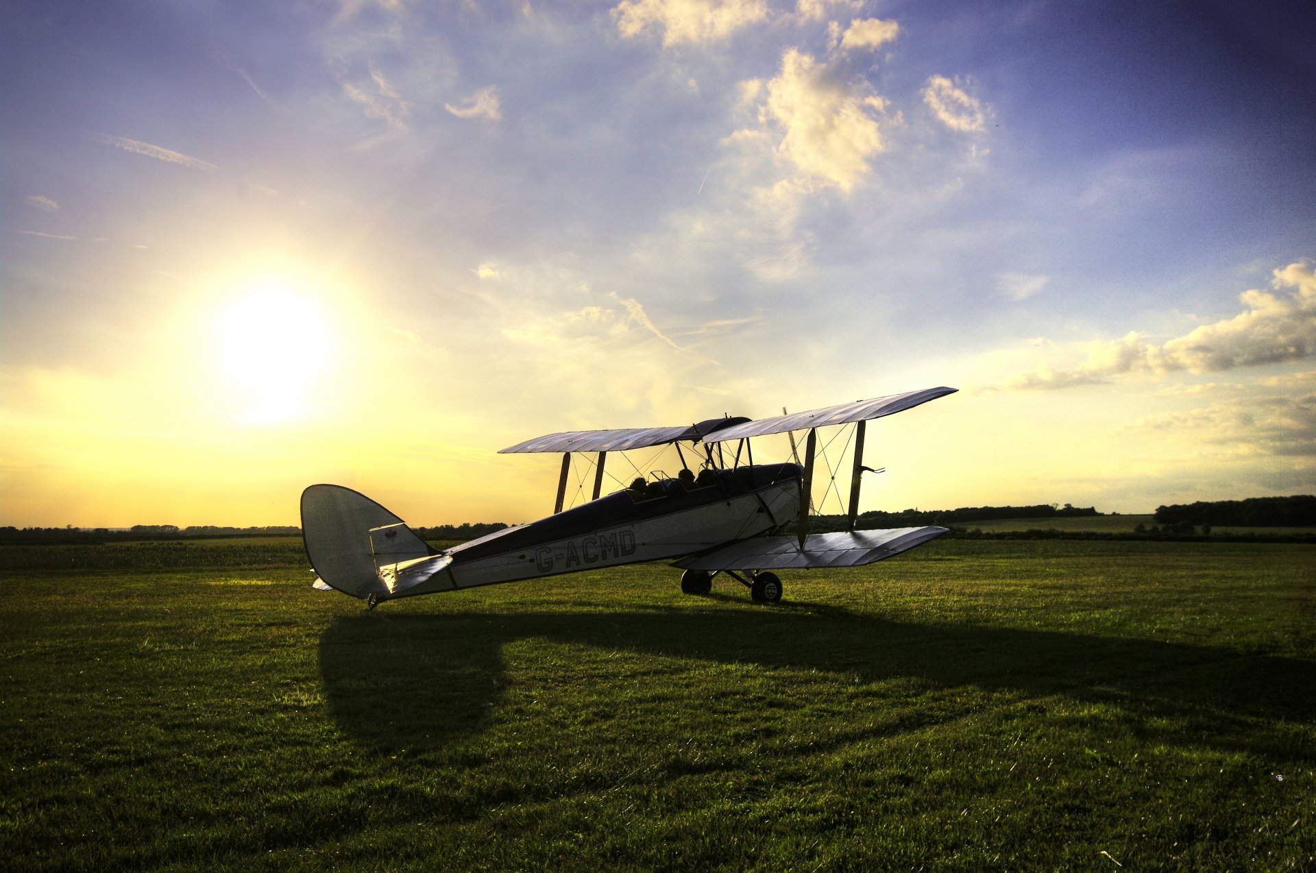 field grass tiger moth tiger butterfly british training biplane sky sun shadow