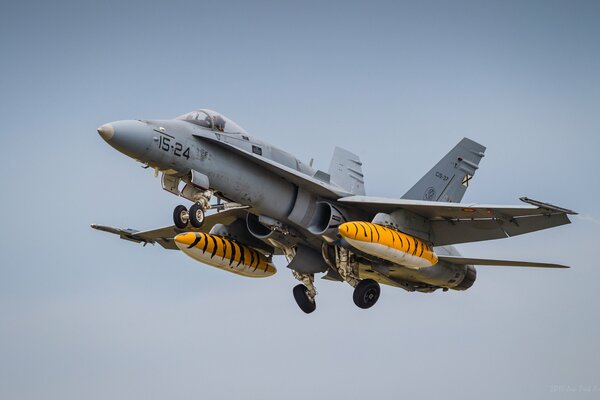 Amerekan carrier-based fighter hornet in flight