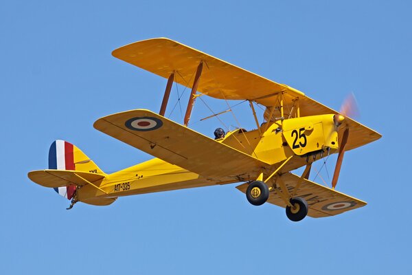 Viejo avión amarillo mariposa tigre