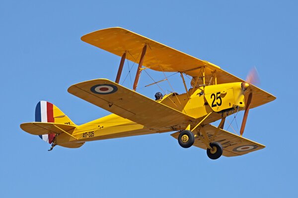 Старый желтый самолет тигровая бабочка