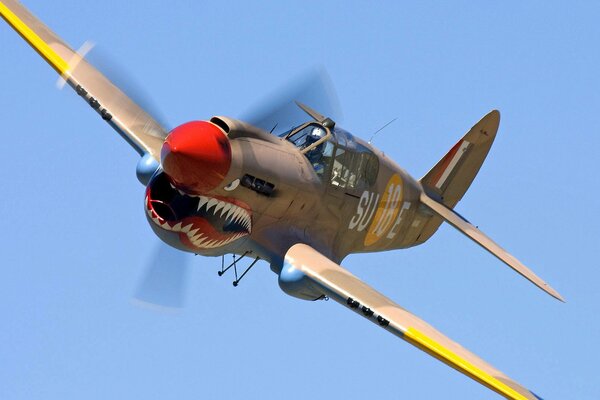 Airbrushing of a fighter plane in the form of a shark