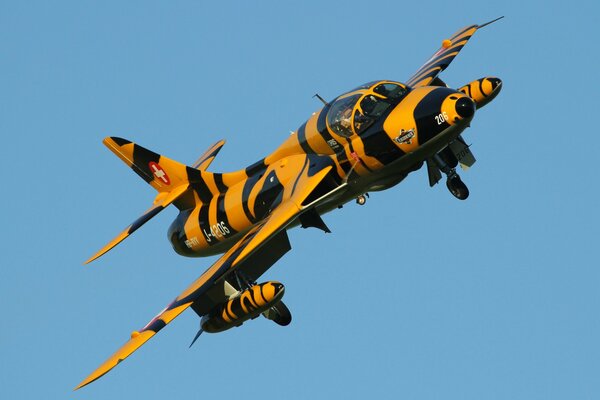 Kampfflugzeug Tiger-farbiger Bomber am Himmel