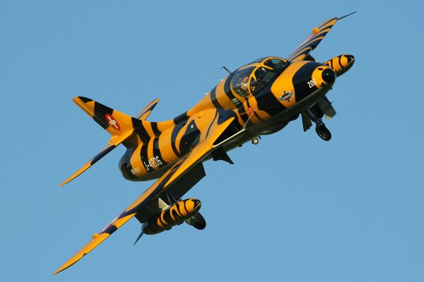 Tiger-colored fighter bomber in the sky