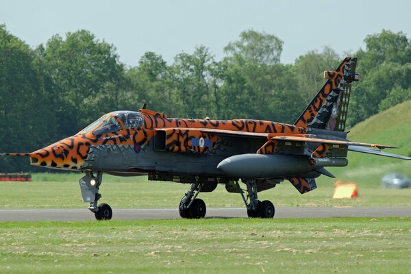 Jaguar fighter , side view 