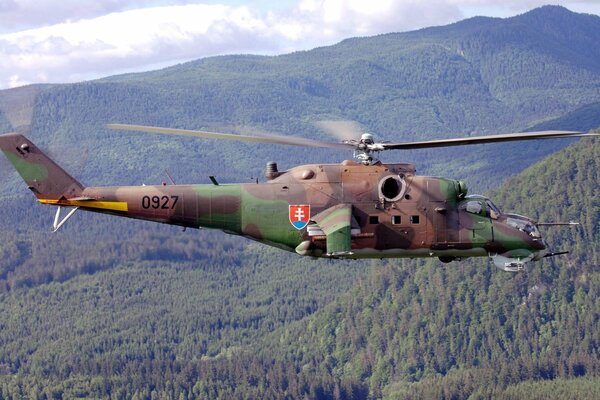 The Mi-24 transport and combat helicopter flies over the trees