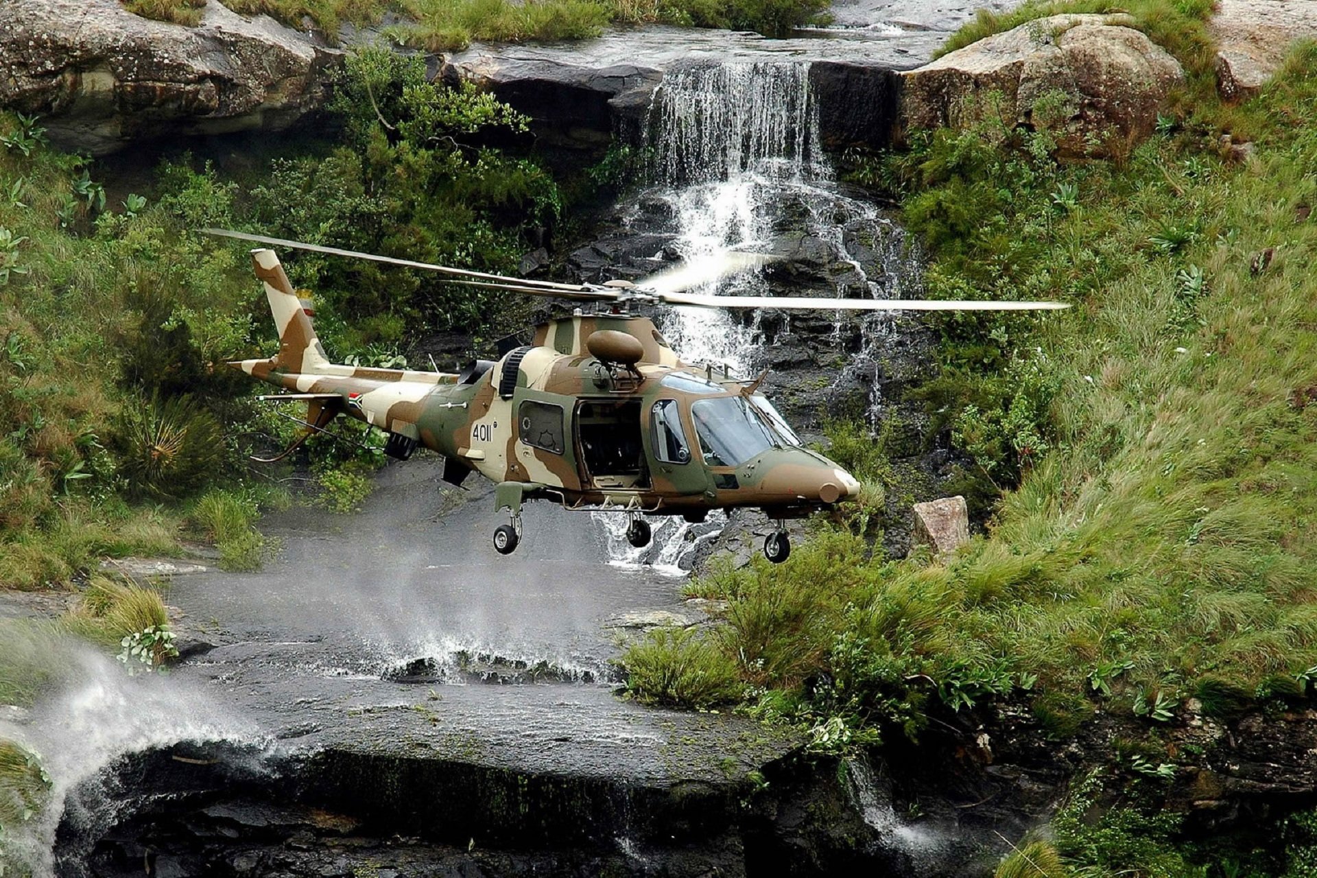 agusta a hirundo hirondelle polyvalent afrique du sud cascade pierres herbe