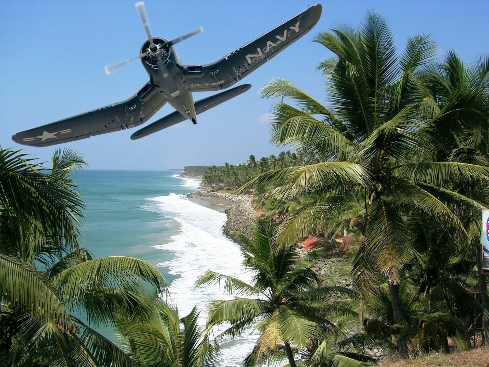 art island beach palm plane chance-vought f4u le corsaire chance vought f4u corsair american single deck fighter ww2 picture