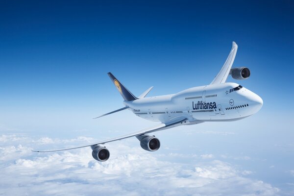 Fliegen in der Luft unter den Wolken eines Verkehrsflugzeugs