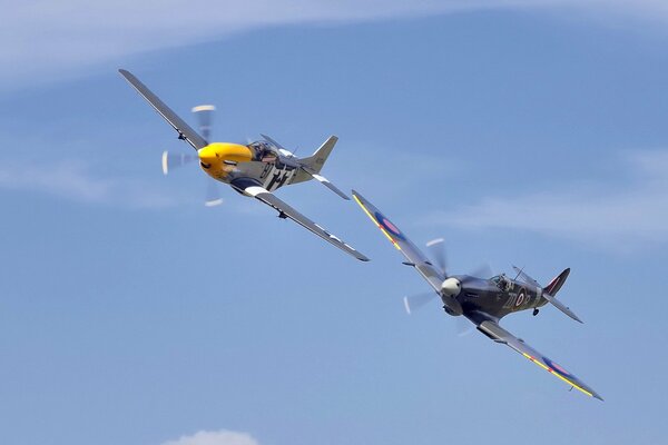 Model P51 aircraft in the sky