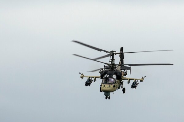 Vuelo Ka-52 Caimán en el fondo de un cielo gris