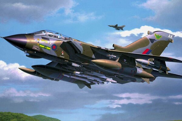 Figure, Panavia tornado fighter-bomber