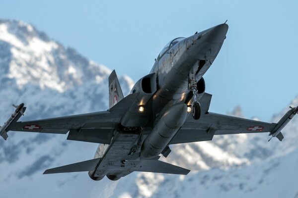 The F5 fighter jet is preparing to land